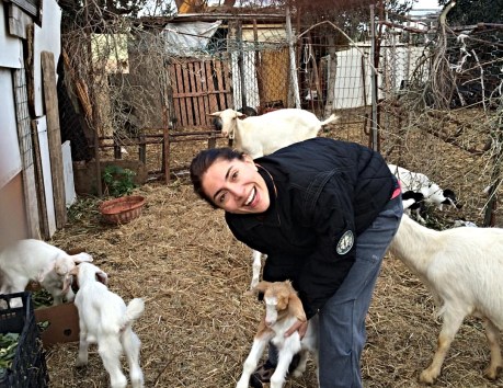 51351847_2138267439818894_2243264764565058965_n