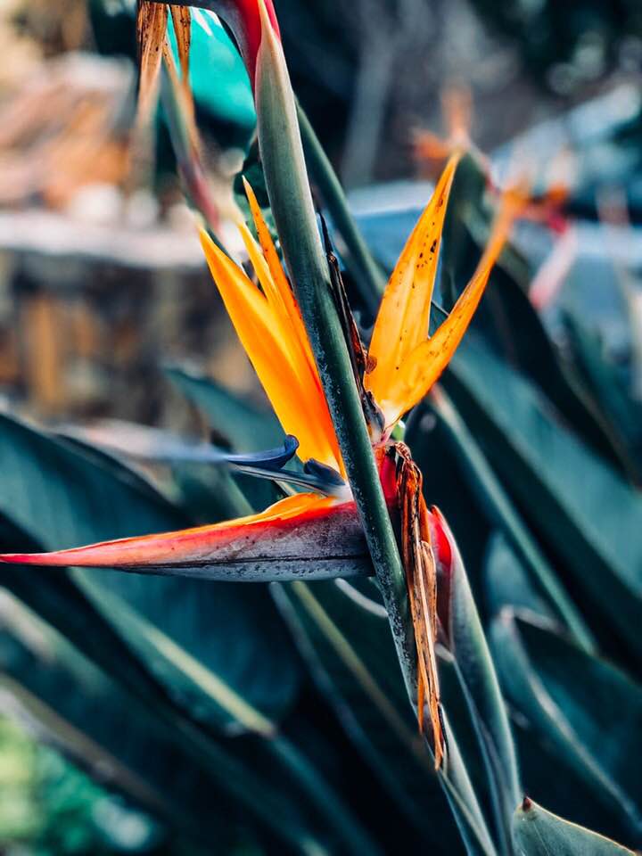 58019433_10219740718413547_2062173567298043904_n