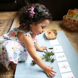 aiutami a fare da me